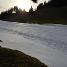 _DSC8021.JPG