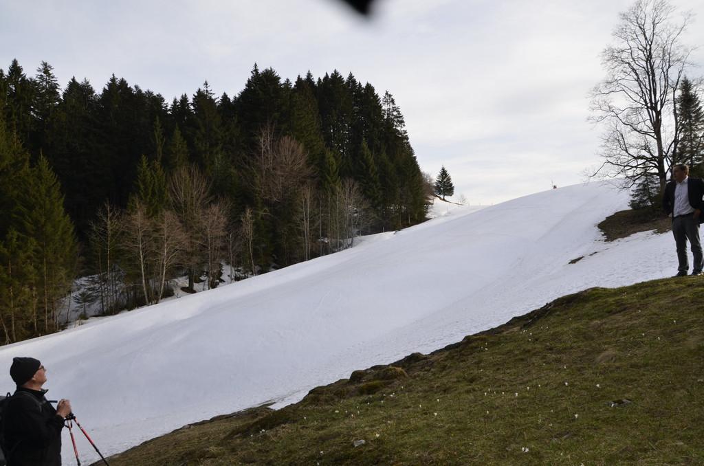 _DSC8026.JPG