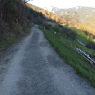 IMG_0124.JPG