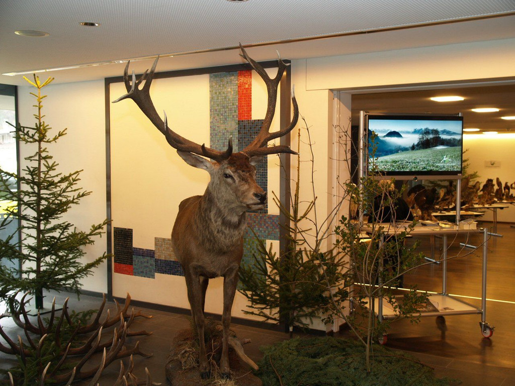P1010132.jpg