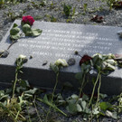 ABD0065-20150413.jpg