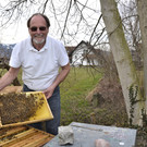 Bienenzuchtverein Koblach-Meiningen