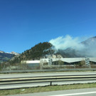 waldbrand_pletsch.JPG