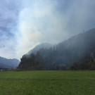 waldbrand_pletsch2.JPG
