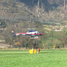 waldbrand_pletsch3.JPG