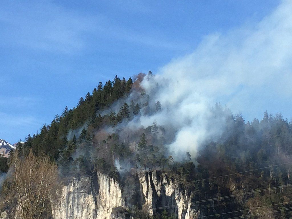 waldbrand_pletsch_mainnew.JPG