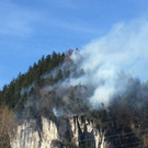 waldbrand_pletsch_mainnew.JPG