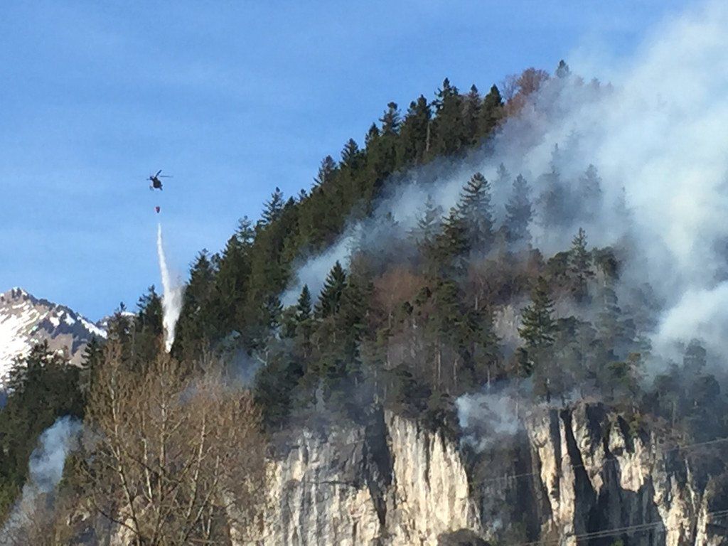 waldbrand_pletsch_heli.JPG
