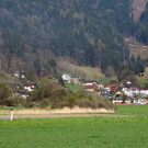 IMG_3979.JPG