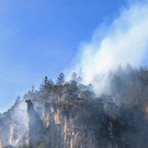 IMG_3956.JPG