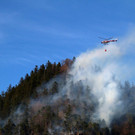 IMG_3933.JPG