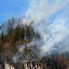 IMG_3929.JPG