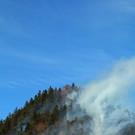 IMG_3926.JPG