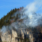 IMG_3923.JPG