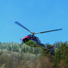IMG_3904.JPG