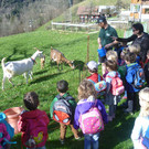 Ausflug zum Bauernhof