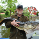 Bilder vom Riesenfang