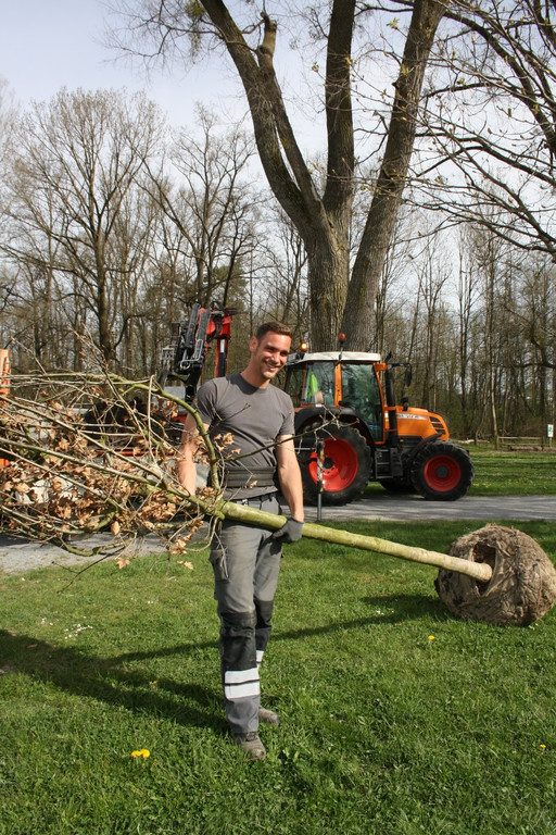 Baumsetzung Schwarzbad SINZ Michael 2015 _1_.JPG