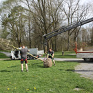 Baumsetzung Schwarzbad SINZ Michael 2015 _6_.JPG