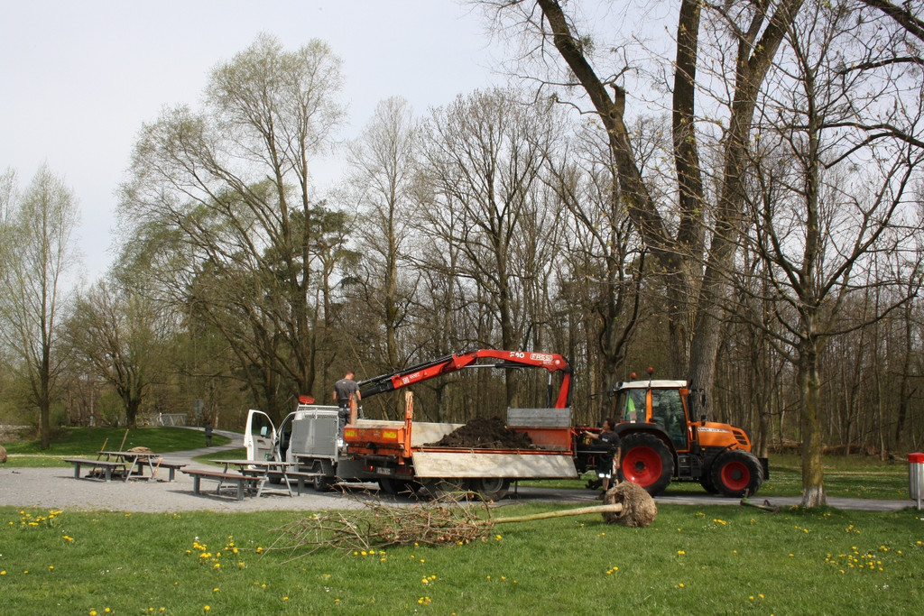 Baumsetzung Schwarzbad SINZ Michael 2015 _5_.JPG
