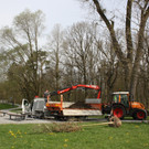 Baumsetzung Schwarzbad SINZ Michael 2015 _5_.JPG