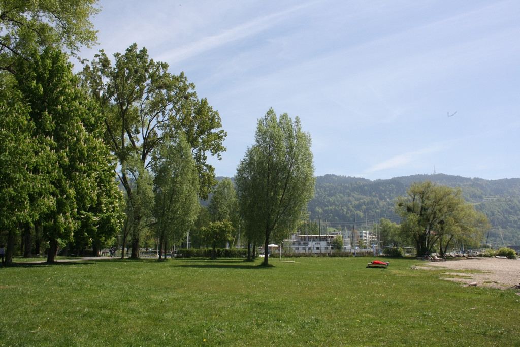 Baumsetzung Schwarzbad SINZ Michael 2015 _10_.JPG