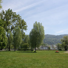 Baumsetzung Schwarzbad SINZ Michael 2015 _10_.JPG