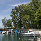 Baumsetzung Schwarzbad SINZ Michael 2015 _11_.JPG