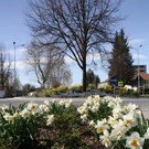 Frühlingsimpressionen aus Lochau