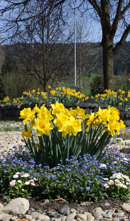 Fr__hling 2015 _25_.JPG
