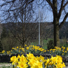 Fr__hling 2015 _25_.JPG