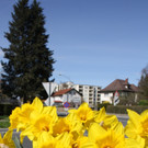 Fr__hling 2015 _4_.JPG