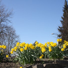 Fr__hling 2015 _12_.JPG