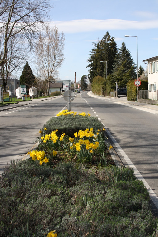 Fr__hling 2015 _24_.JPG