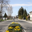 Fr__hling 2015 _24_.JPG
