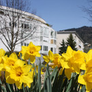 Fr__hling 2015 _26_.JPG