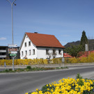 Fr__hling 2015 _6_.JPG