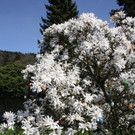 Fr__hling 2015 _21_.JPG