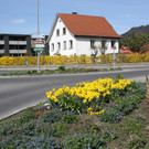 Fr__hling 2015 _5_.JPG