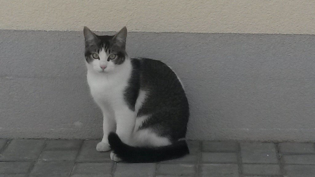 20150203_110901.jpg