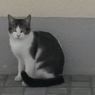 20150203_110901.jpg