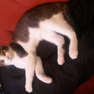 20141207_152637.jpg