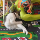 20150312_080924.jpg