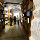 file6k3wn7b7yap194aejbb7.jpg
