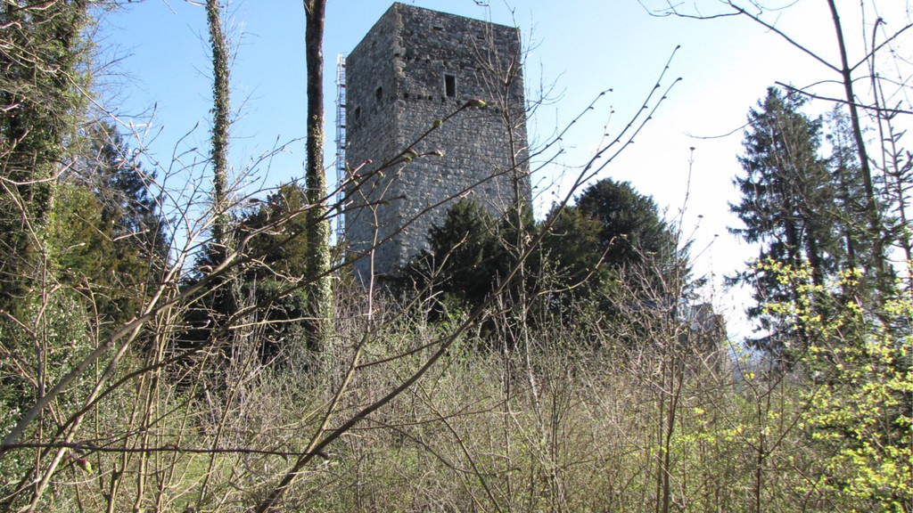 KOE_Tostner Burg Ausgrabungen 1.jpg