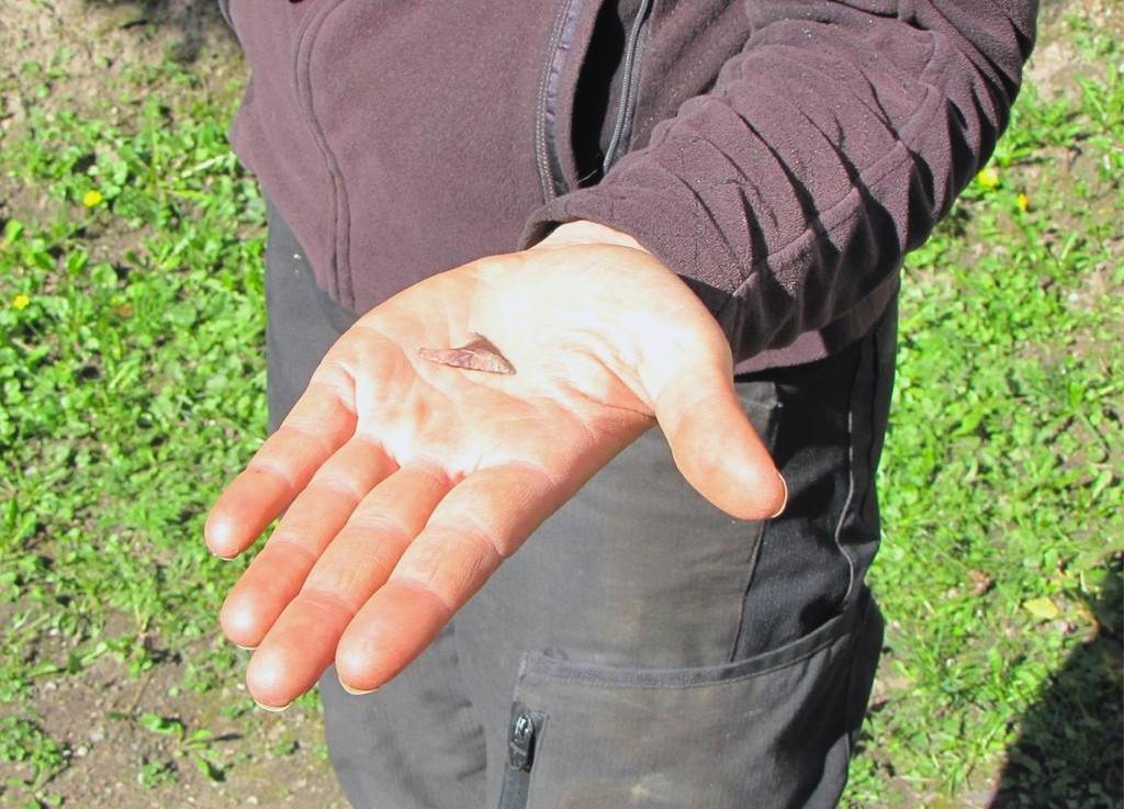 KOE_Tostner Burg Ausgrabungen 3.jpg