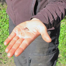 KOE_Tostner Burg Ausgrabungen 3.jpg