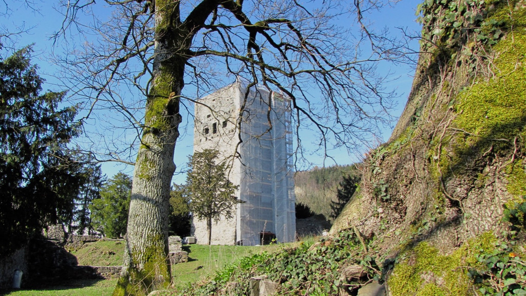 KOE_Tostner Burg Ausgrabungen 4.jpg