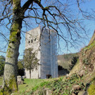 KOE_Tostner Burg Ausgrabungen 4.jpg