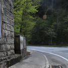 IMG_8329.JPG
